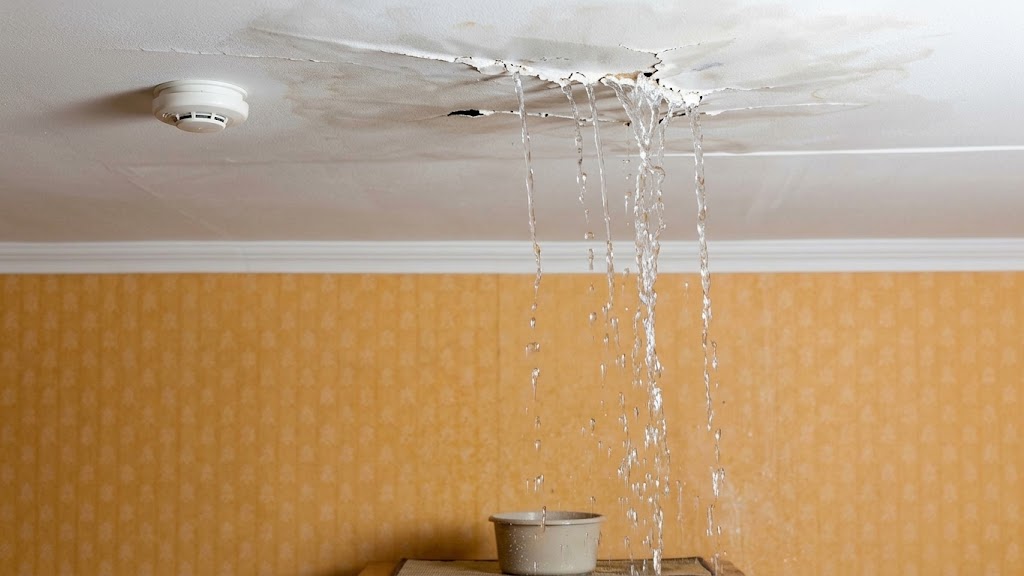 Fountain Hills Leak Detection — Leak Detection you can rely on